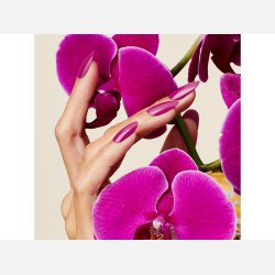 407 Orchid Canopy Vinylux