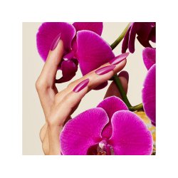 407 Orchid Canopy Vinylux