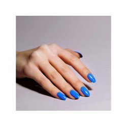 444 Motley Blue Vinylux
