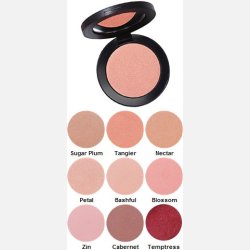 Youngblood pressed mineral blush